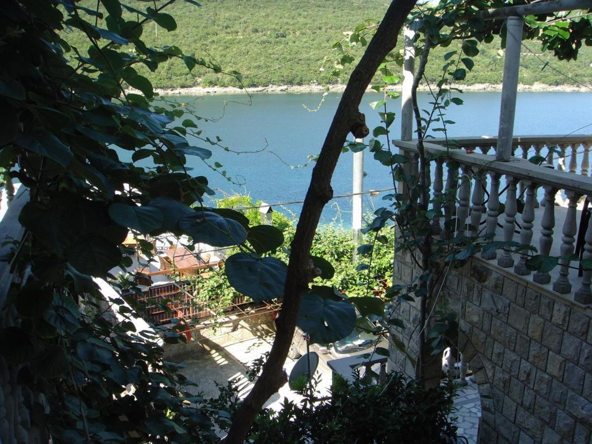 Apartments Grispolis Tivat Extérieur photo